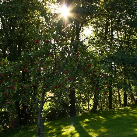 Ulima مزرعة للإقامة